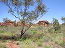 23 Devil's Marbles